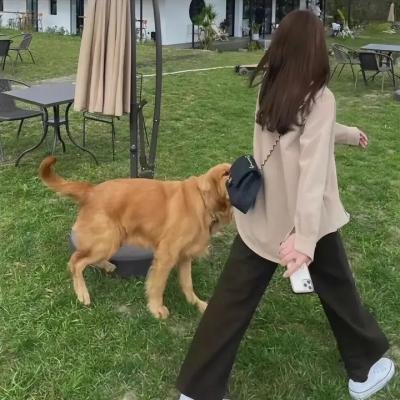 我为猪狂